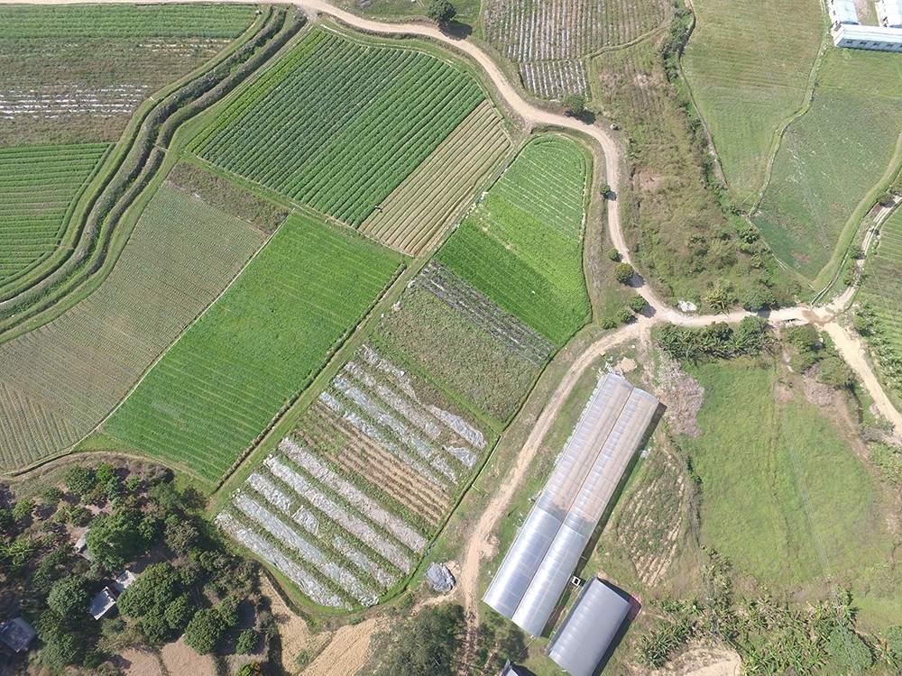 1486956558108915.jpg DJI_0015.JPG