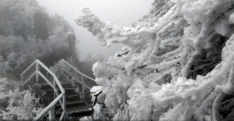 1508491330802029.png 冰雪金子山.png