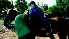 1667545328621809.gif 马术技巧.gif
