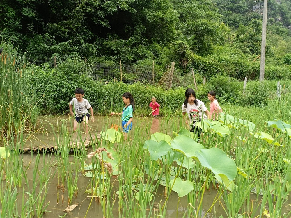 1715933766899923.jpg 池塘抓鱼.jpg