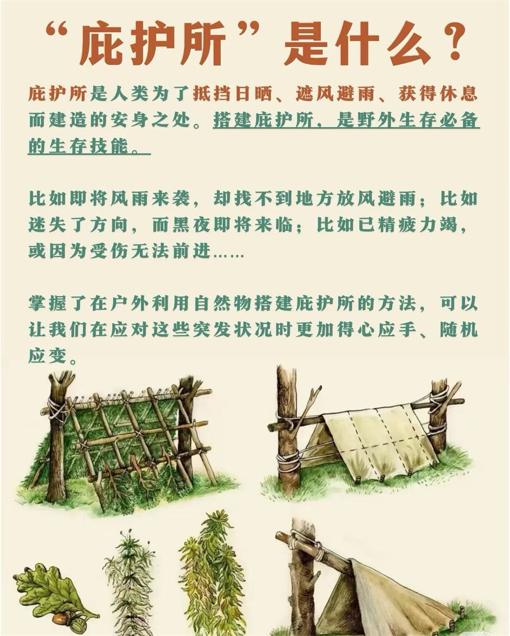 35536abebac47e84b5da2cb1842c52a.jpg