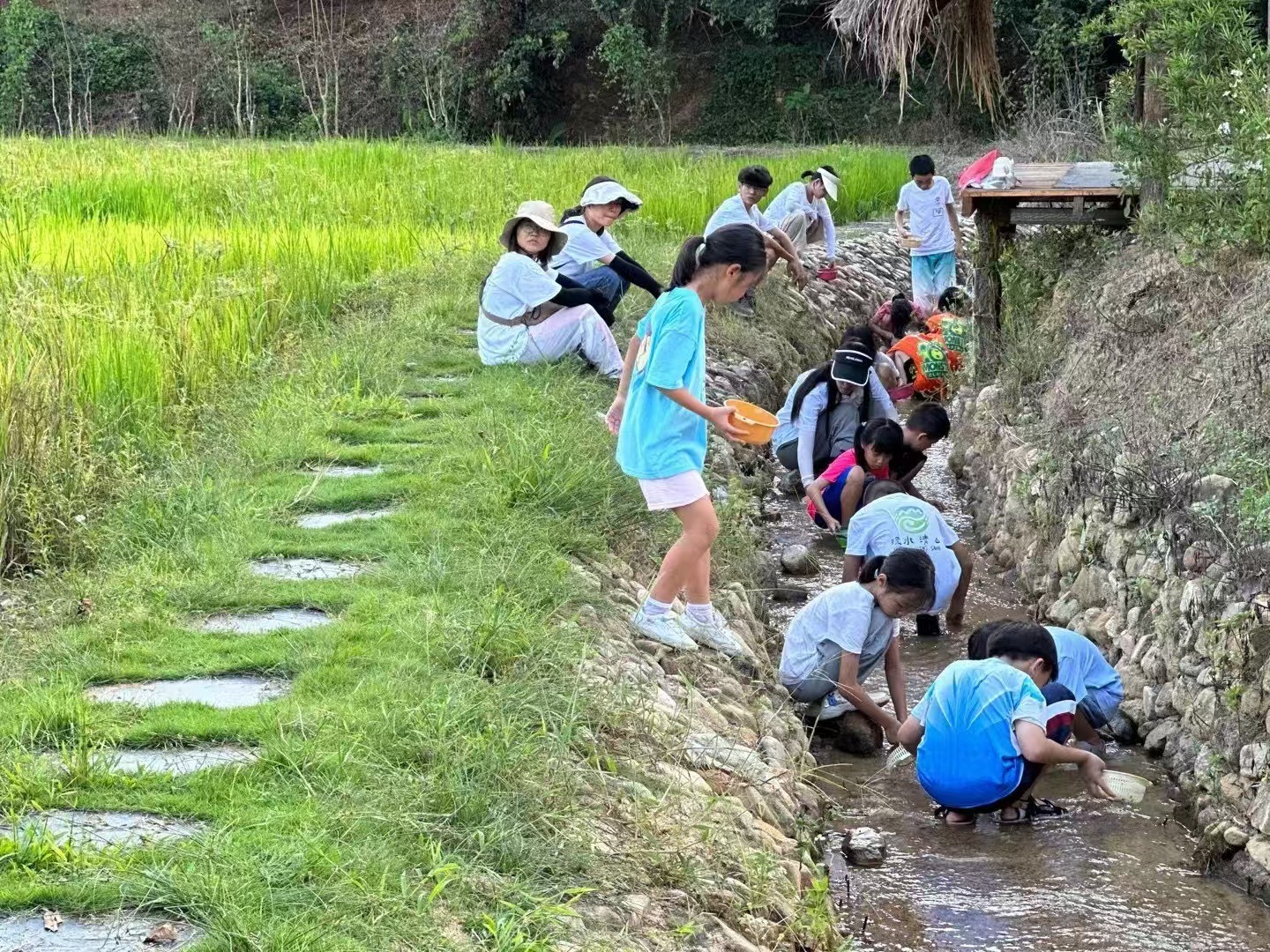 溪流淘宝2.jpg