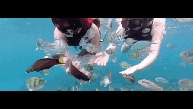 1748319537771068.gif 21111.gif