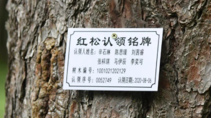 1748334171726584.png 红松认领牌.png