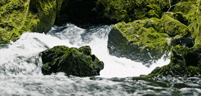 1748941169336007.gif 640 (2).gif
