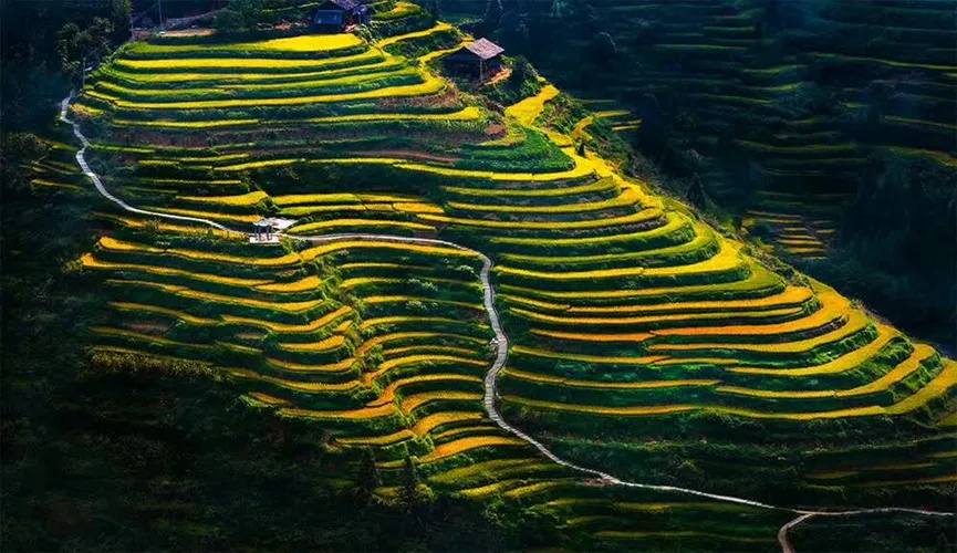 1750232645991316.jpg a20df47017e9b0489e8203f31a216d3c-sz_1130573_看图王.jpg