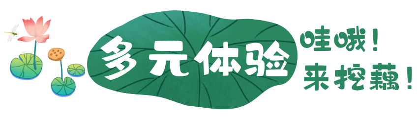 1754638317738589.png 多元体验.png
