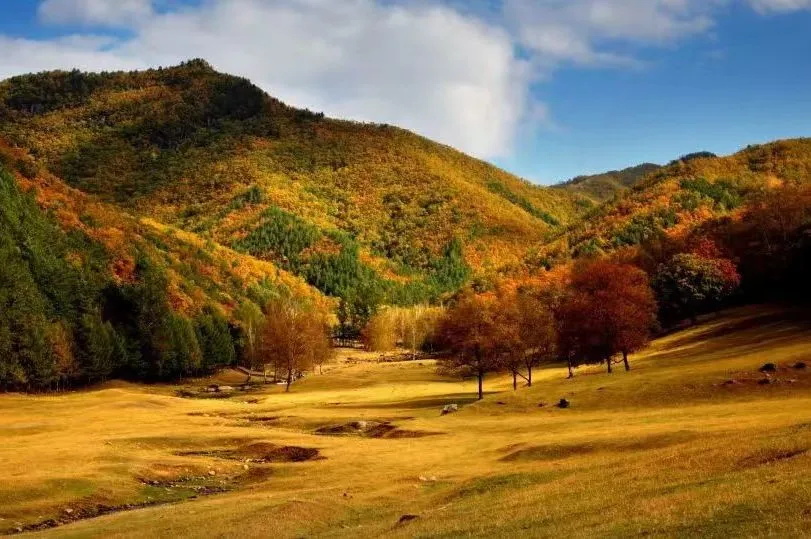 金山鹿苑11_看图王.jpg