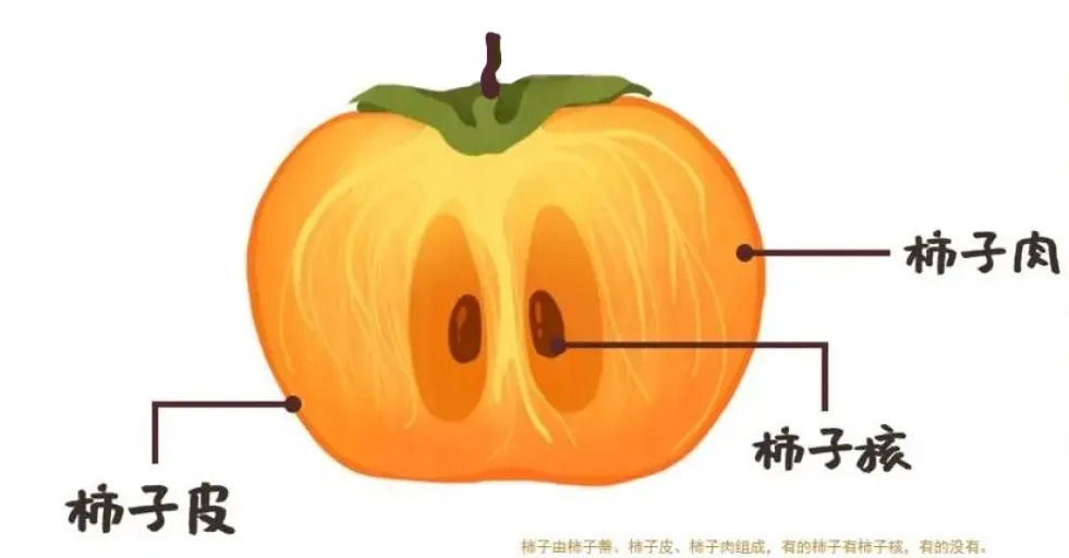 523222.jpg
