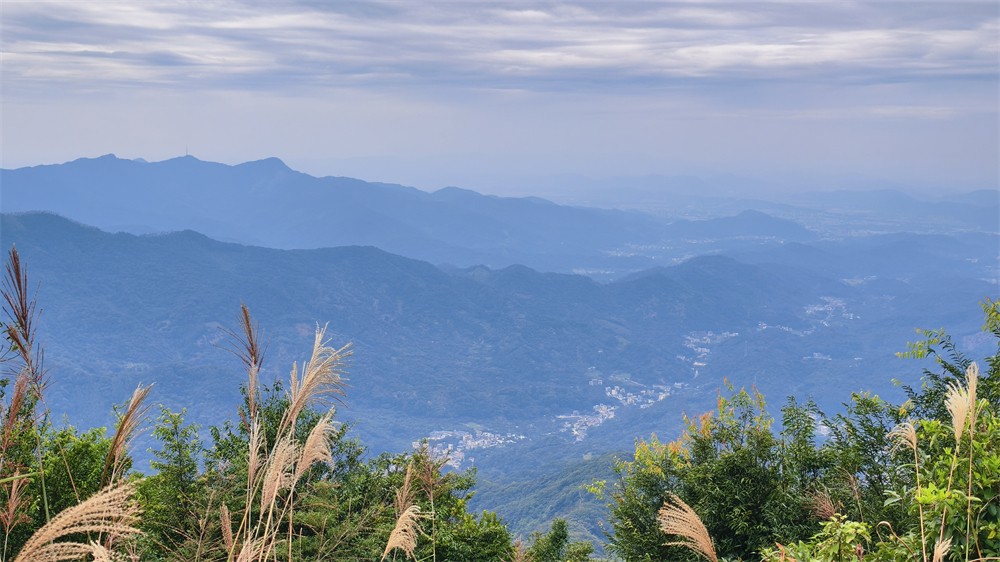 1761636098984773.jpg b44c18b7521fed92f74d3c6ecfec040f.jpg