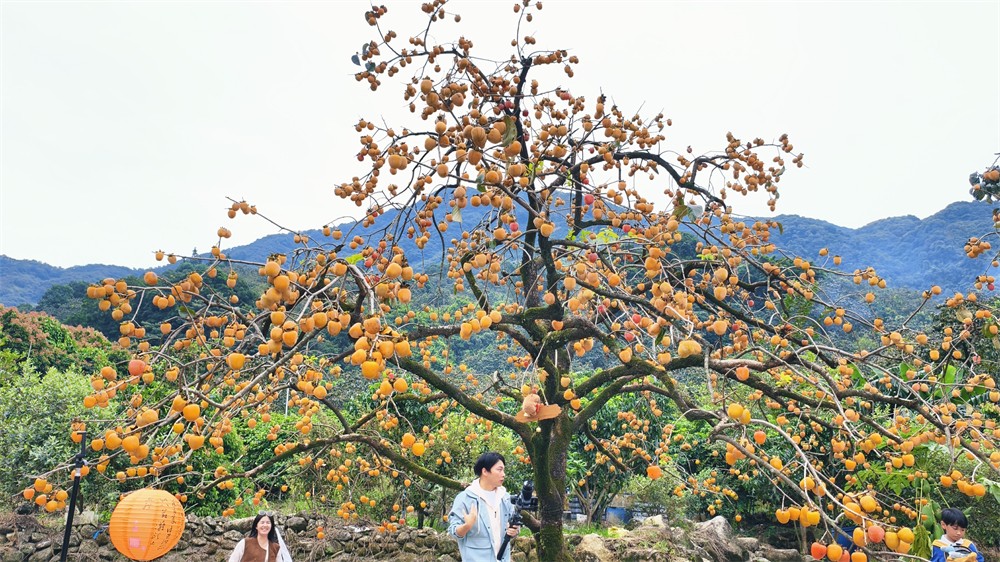 1761636277345221.jpg 7545a55cfdf091478a4be00a3d62492a.jpg