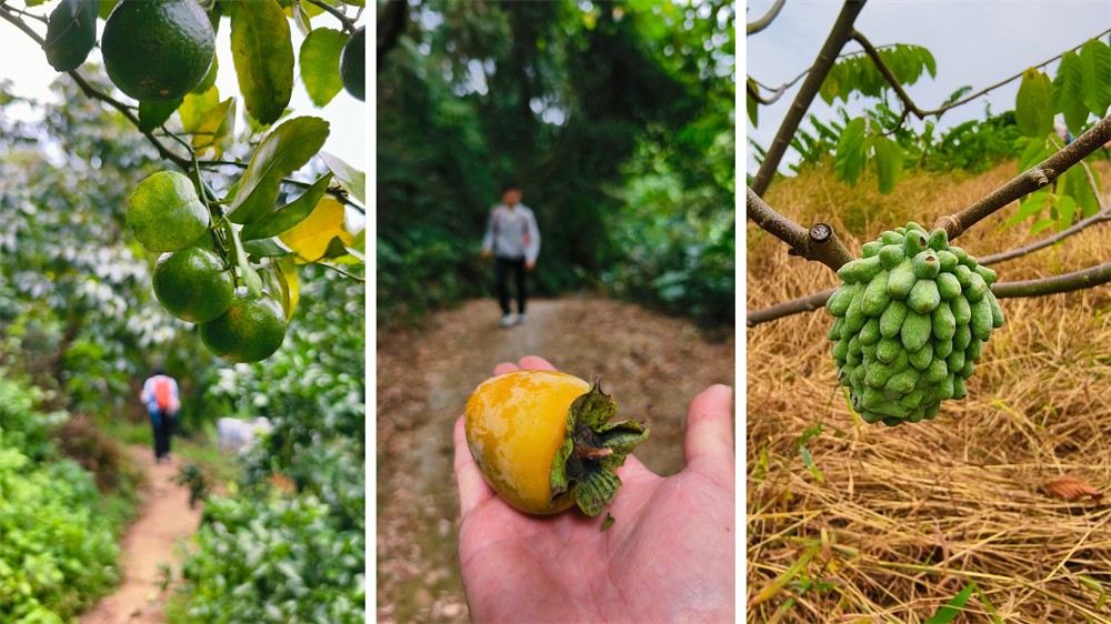 1761636401767316.jpg 0ff6e6f14631d1391fc19e9588a40308.jpg