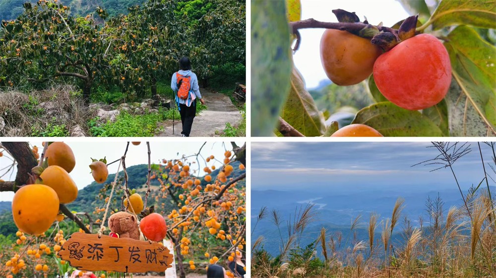 1761637233923592.jpg 9e68962e8714181db1f336c2c88d1a83.jpg