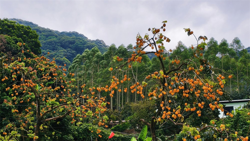 1761637475516881.jpg 2dcb9c8b947dc005ec890cd5c7563c68.jpg