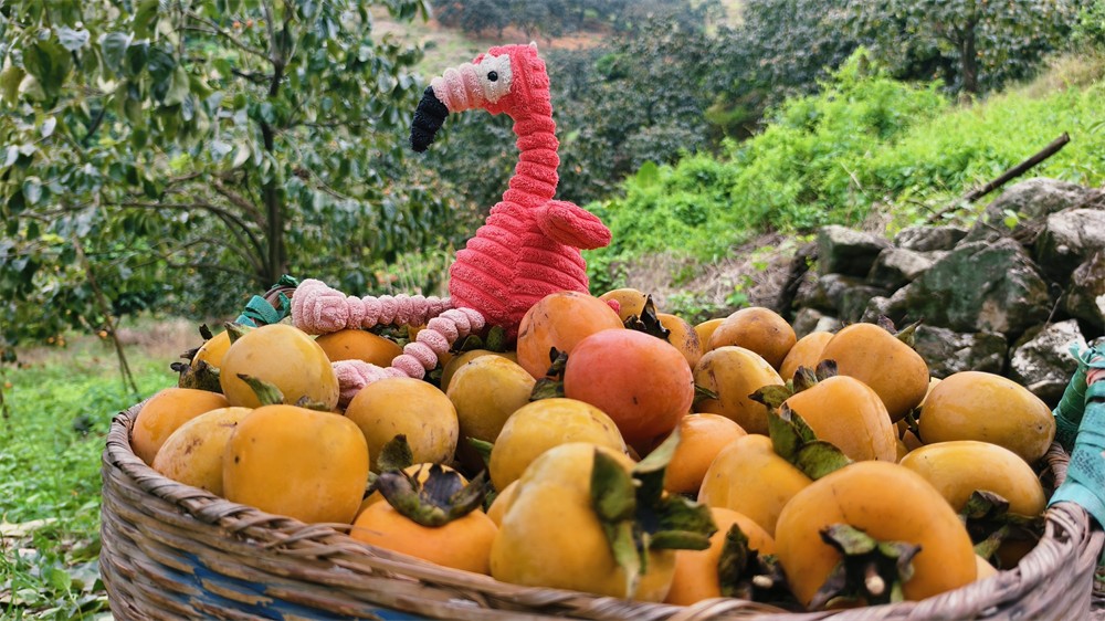 1761637505861327.jpg 4a43dba8024d0da82af9ce9c468fe08a.jpg