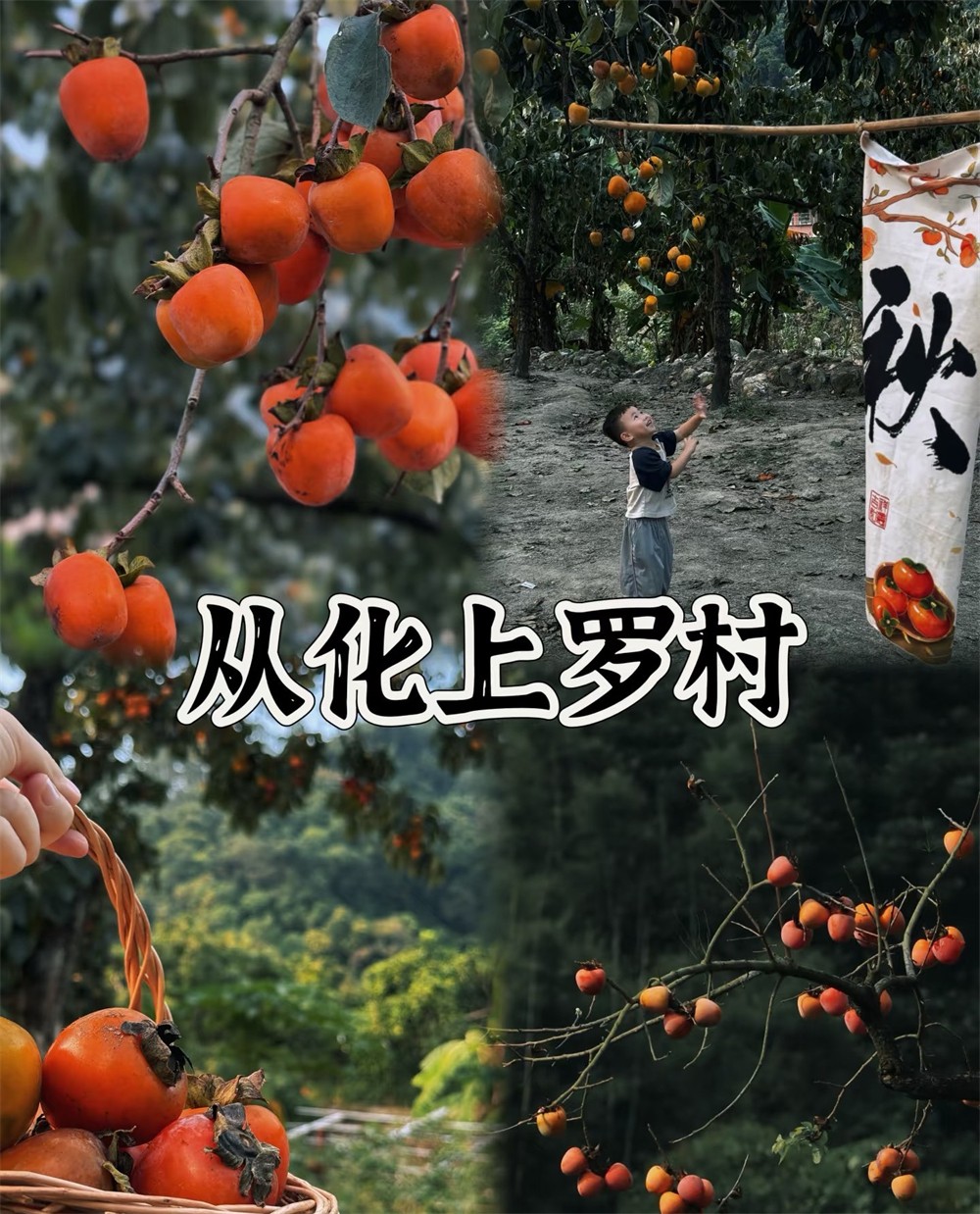 1761638001738052.jpg 7d90a706a03d18955119ca4679f0289f.jpg