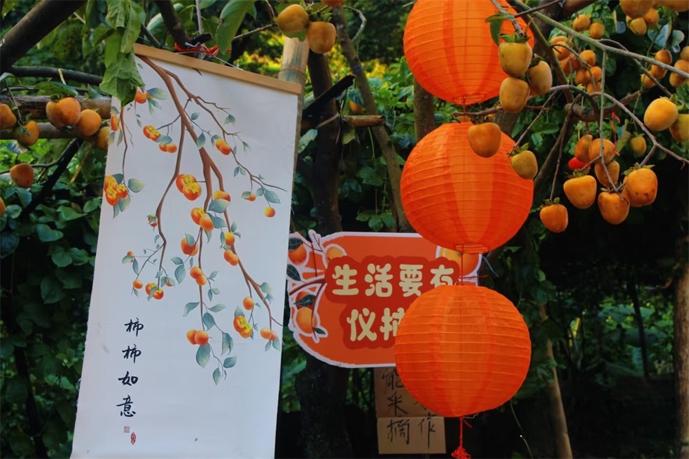 1761638045340373.jpg 3262dc48fba7d6fa01f7efa600320e38.jpg