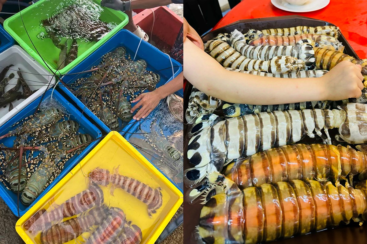 1762237168397247.jpg 4524222.jpg