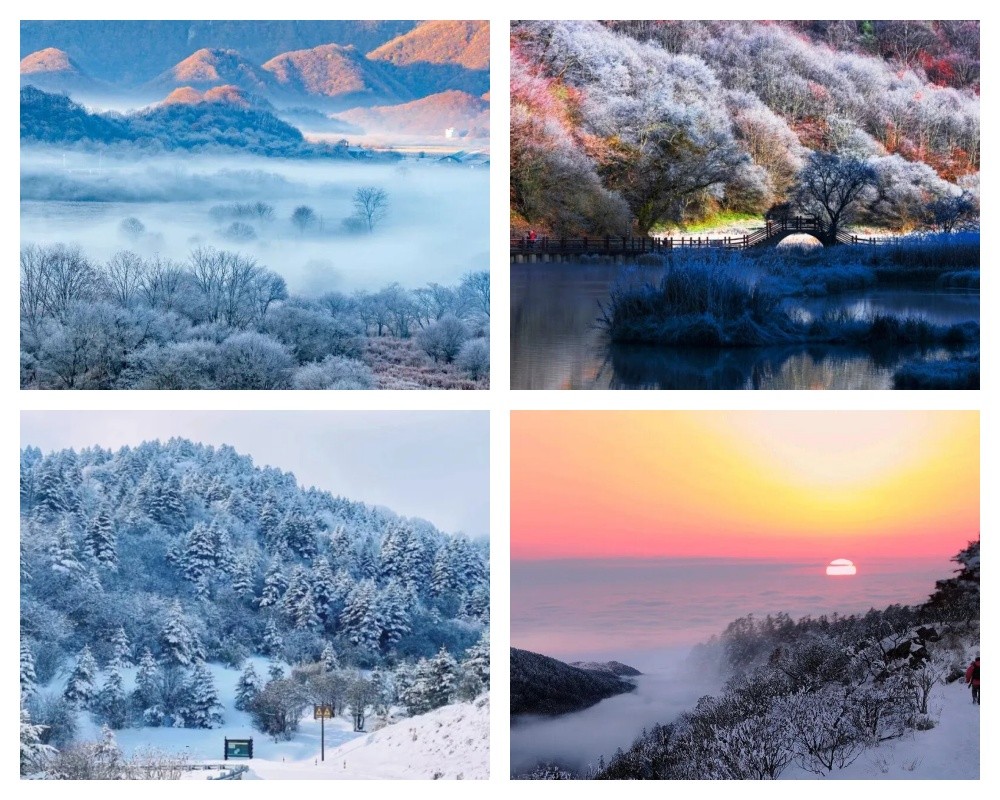 1762415251989779.jpg 55555.jpg