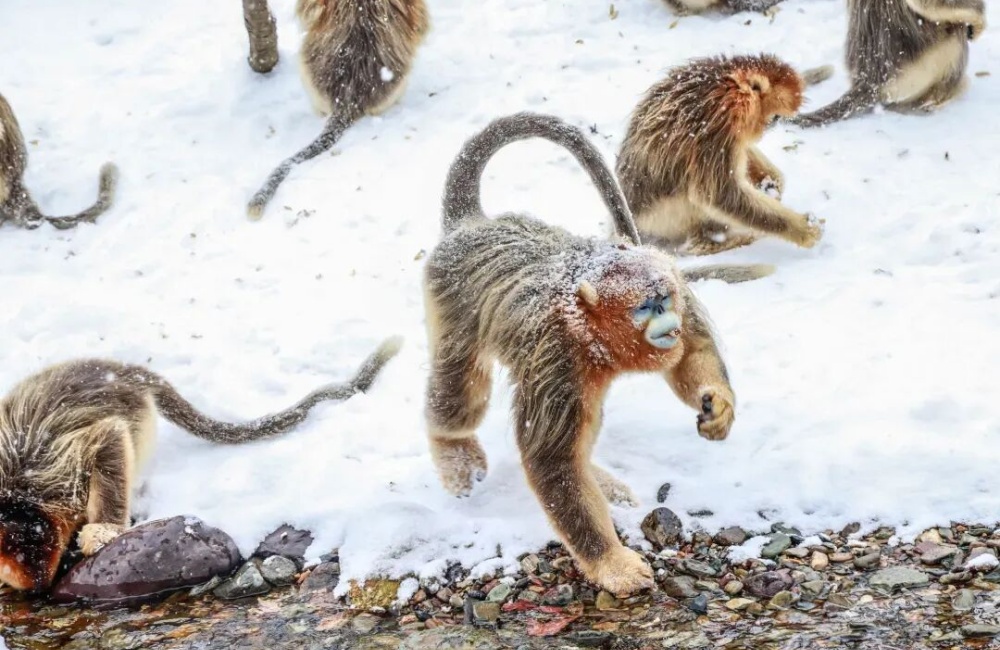 1762415686251614.jpg 640 (35).jpg