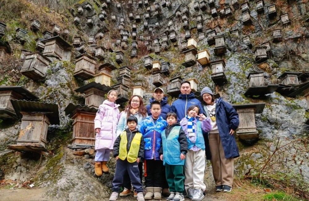 1762415789949356.jpg 640 (19).jpg