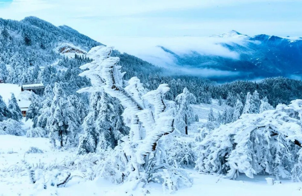 1762415966405831.jpg 640 (17).jpg