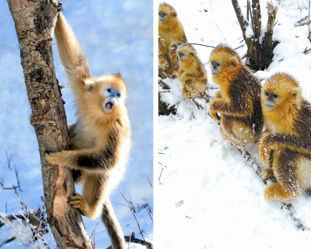 1762416619611755.png 640 (1).png