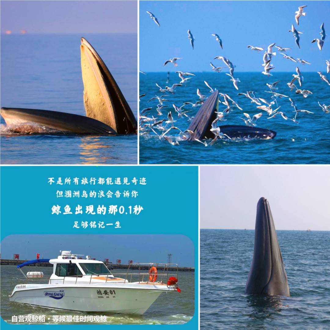 1763969777980113.jpg b5c6879ea9d02e9ff9b580c546c7bd6.jpg