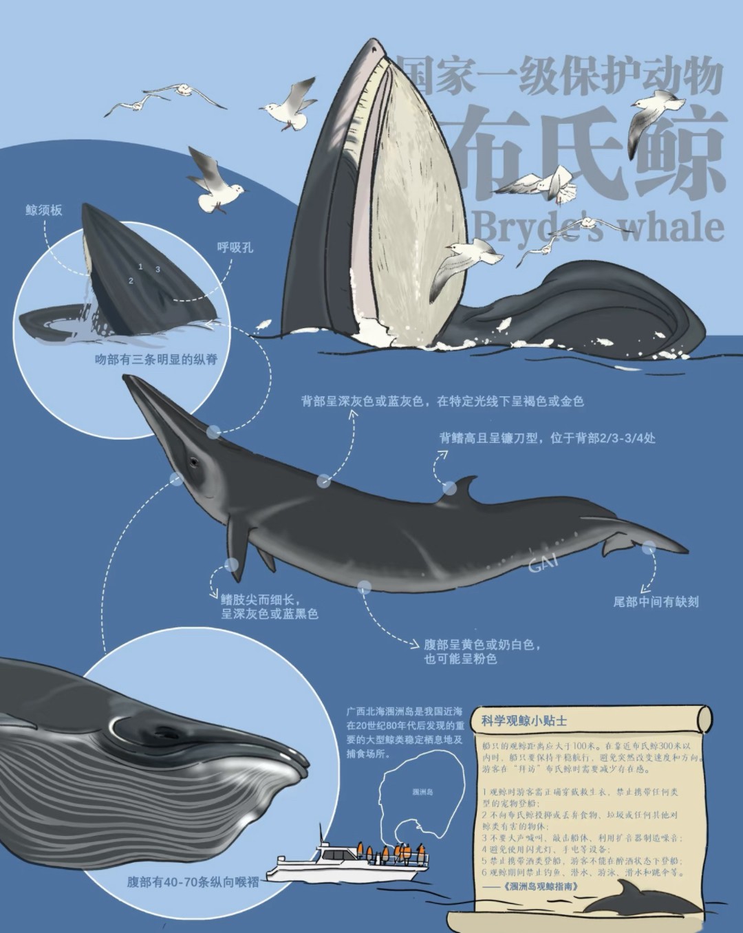 1763969792655169.jpg 4282c8379b037ce3380ddab71a3d3fc.jpg