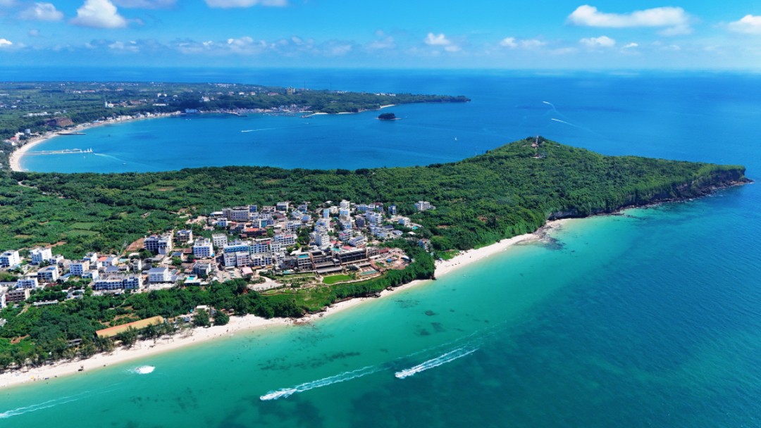 1763970929178999.jpg 93ea9a6f0ee28adcd3157ddd0a22dde.jpg