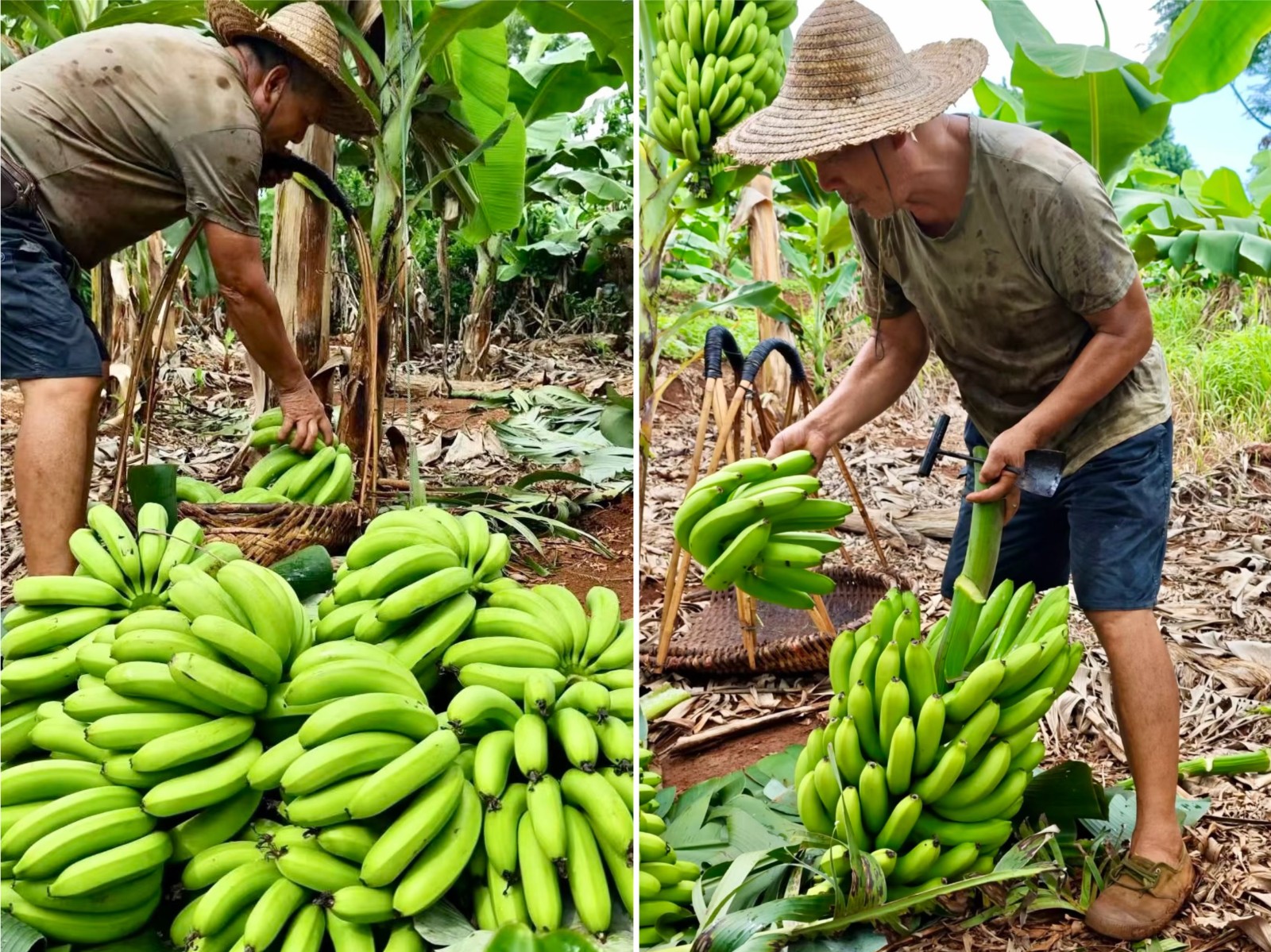 1764042113128087.jpg 67bf185c36bd045577081e6b1e0279d.jpg