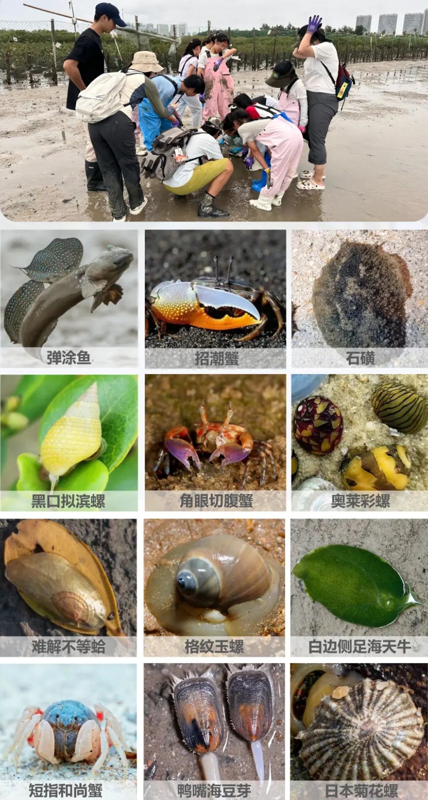 1764051088861095.jpg 79a2c3a456fe8d3e65b916388f46dff4-sz_9233403.jpg