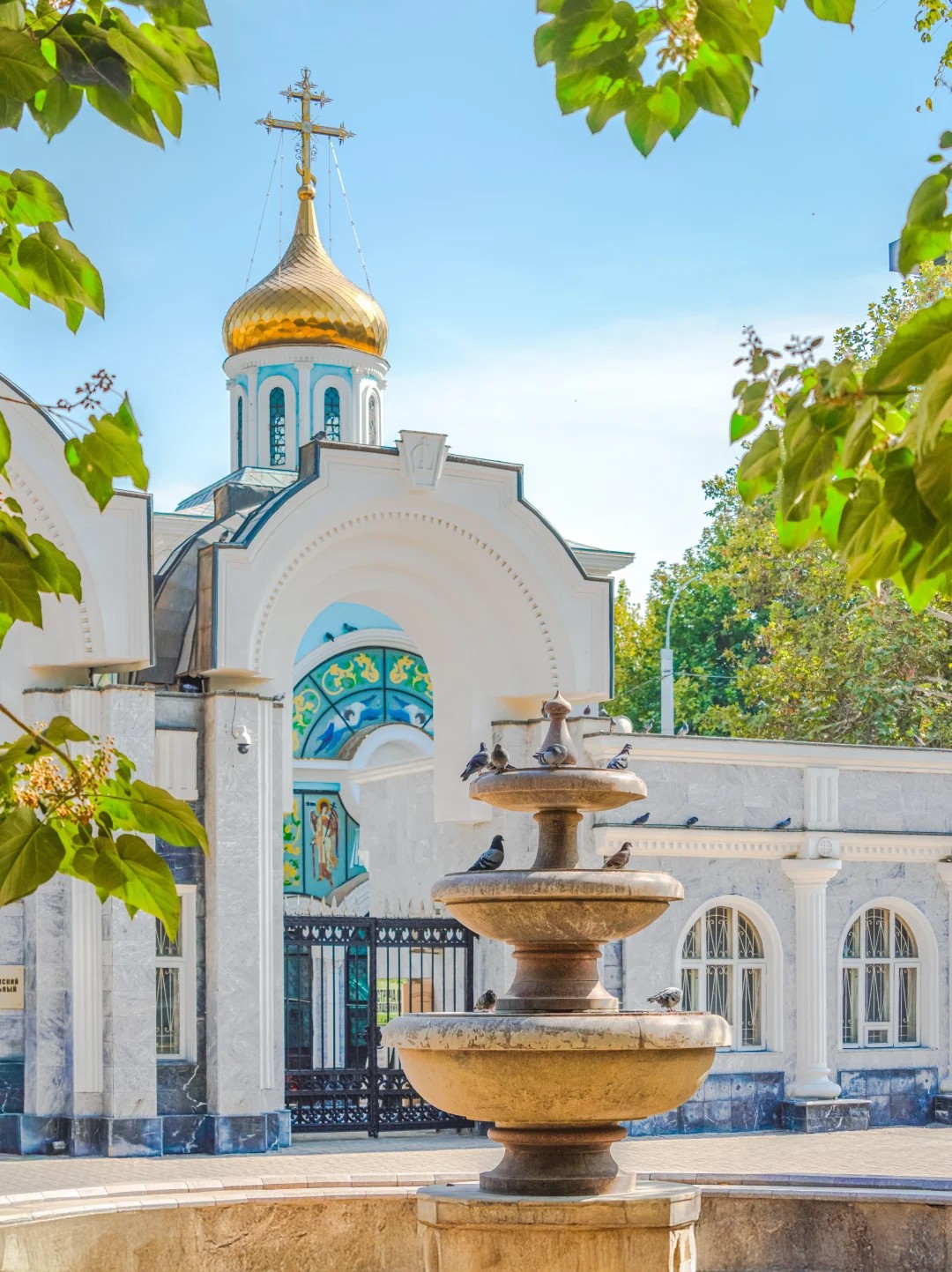 1764052669430762.jpg 2355464.jpg