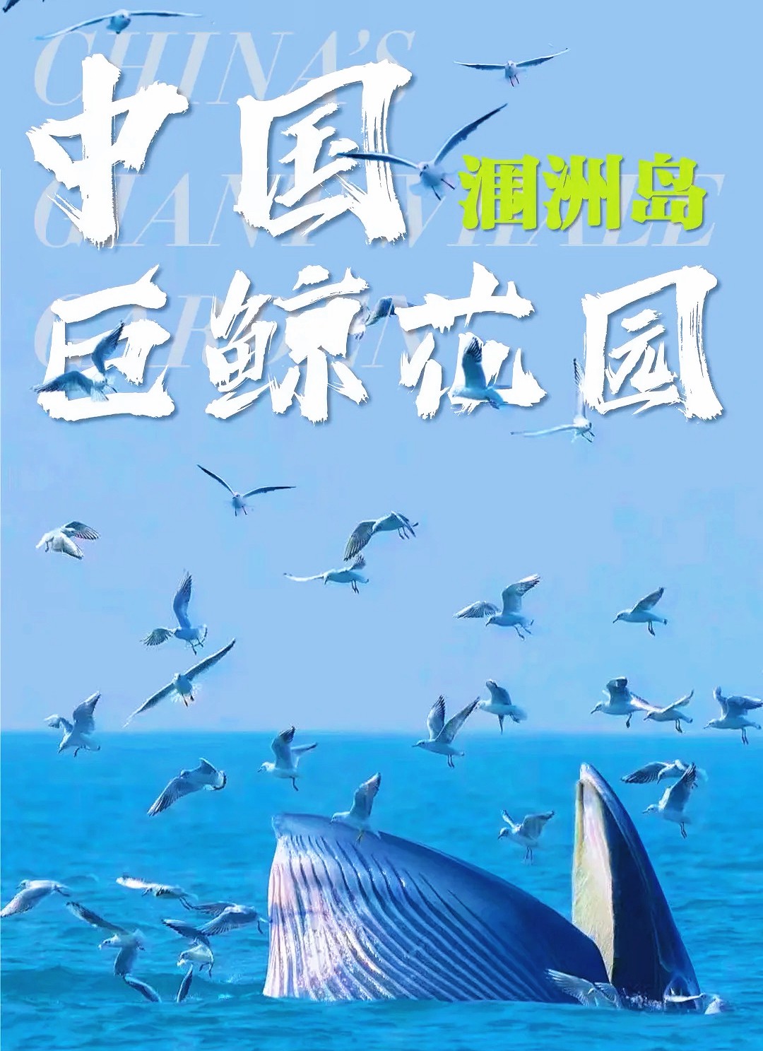 1764053228334689.jpg 08283c45e41949c35ccb80d11188cea.jpg