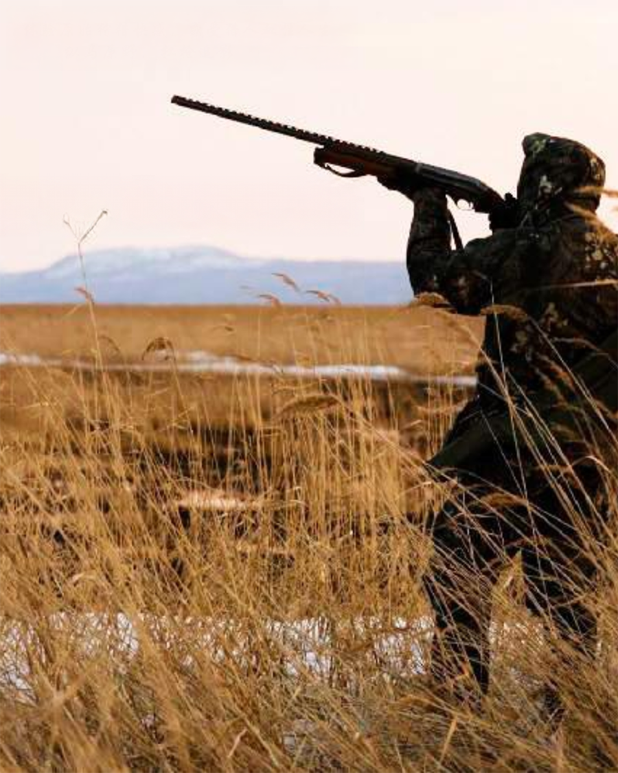 1764150000596836.png 图片1.png