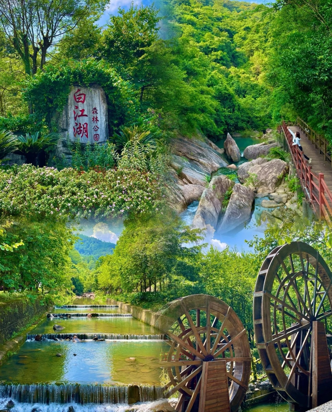 1764231161170379.jpg 微信图片_20251127160543.jpg