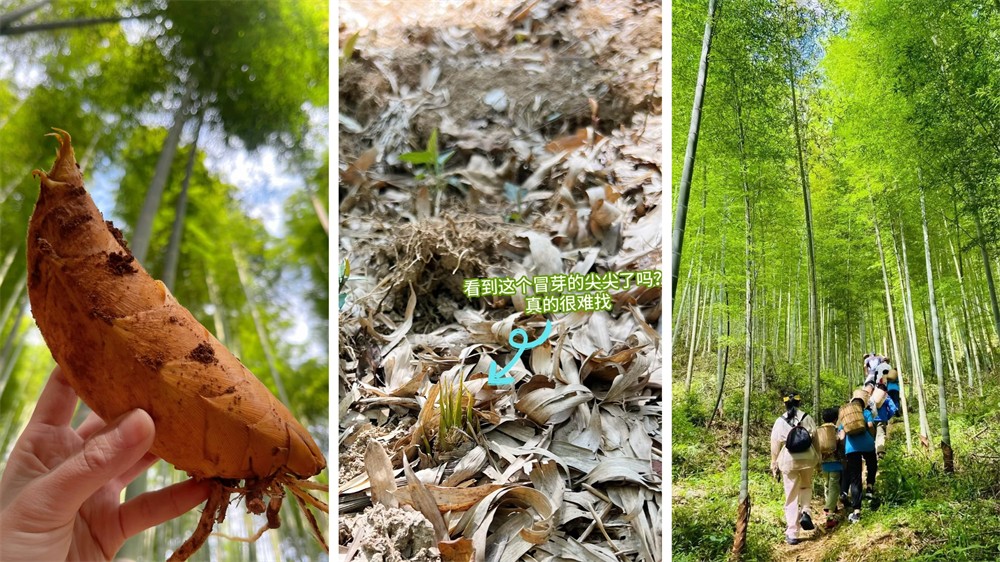 1765866205470578.jpg 1fd12b82b1b342ec8b01b95030514cd0.jpg