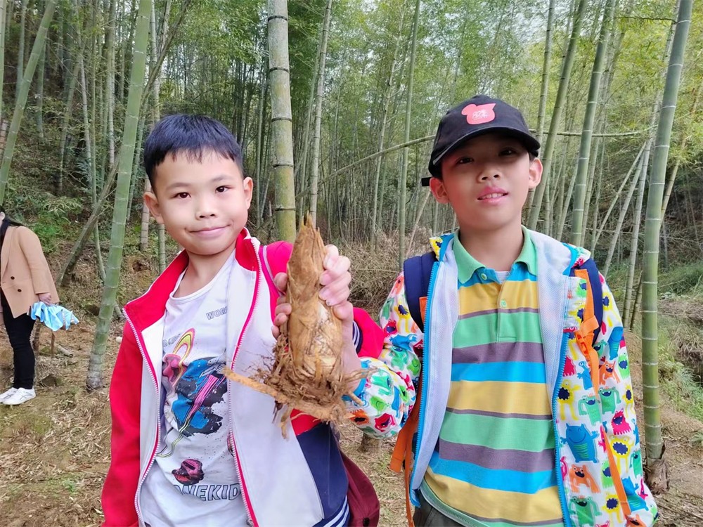 1765866230153375.jpg 挖笋.jpg