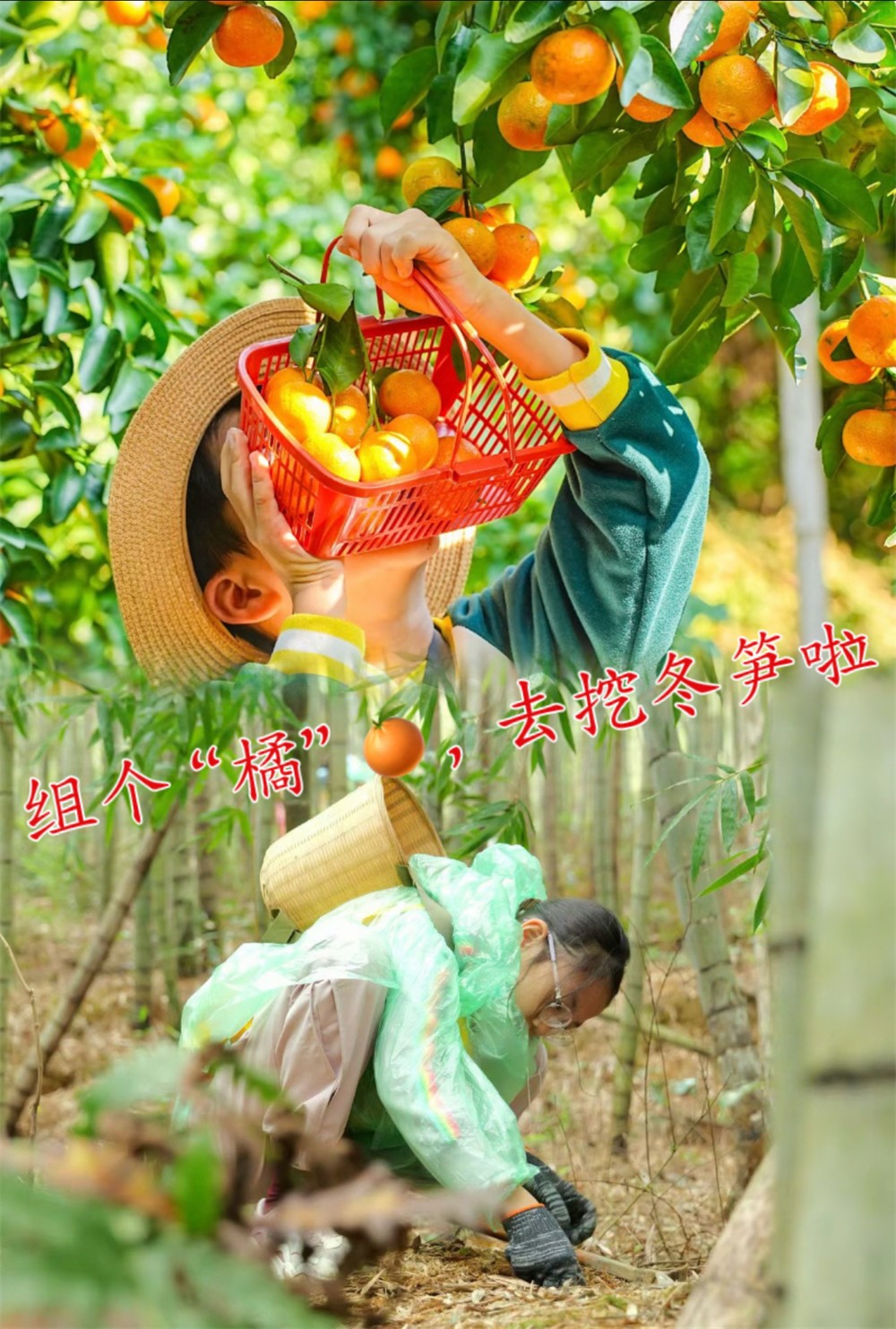 1765867095922367.jpg e8b73c29b0c411460a589f4ffdc73d62.jpg