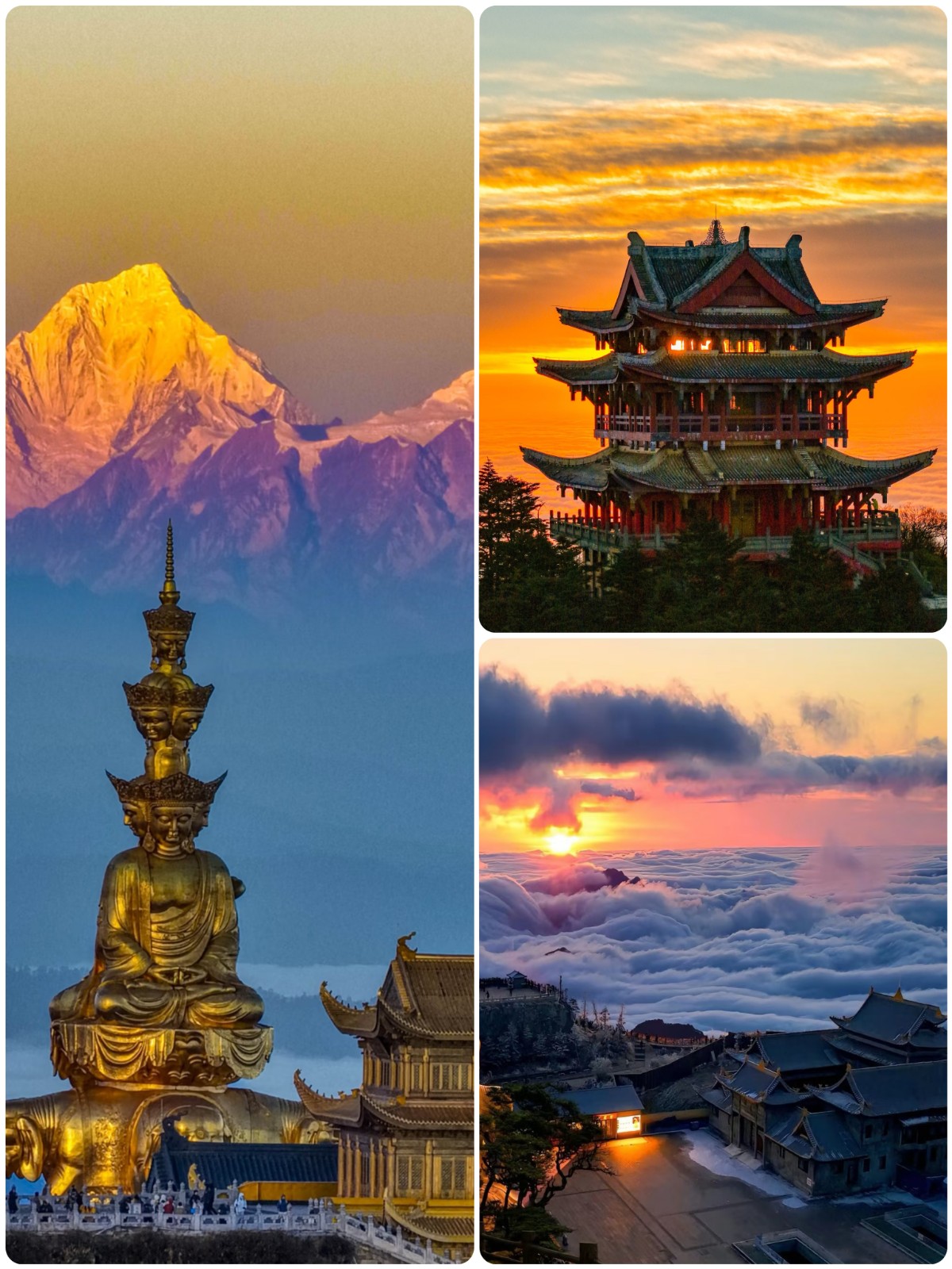 1772002505397026.jpg 微信图片_20260225145449.jpg