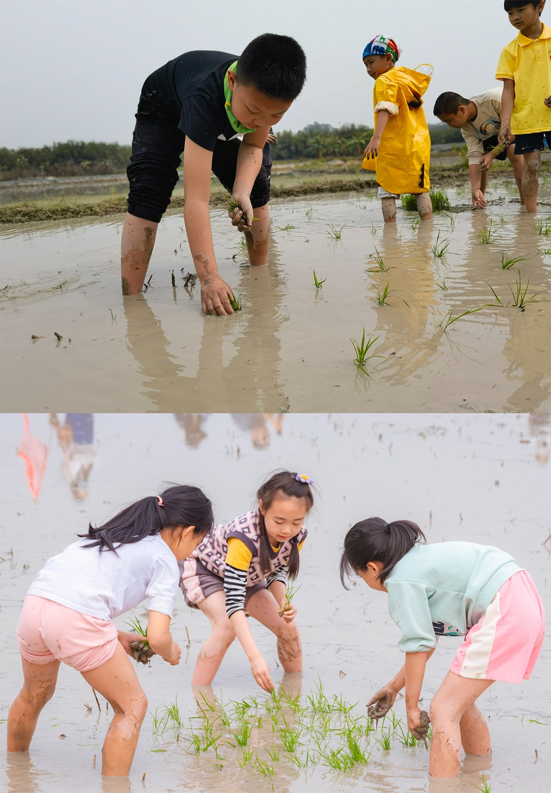 1772607592233370.jpg IMG_20230304_105335.jpg