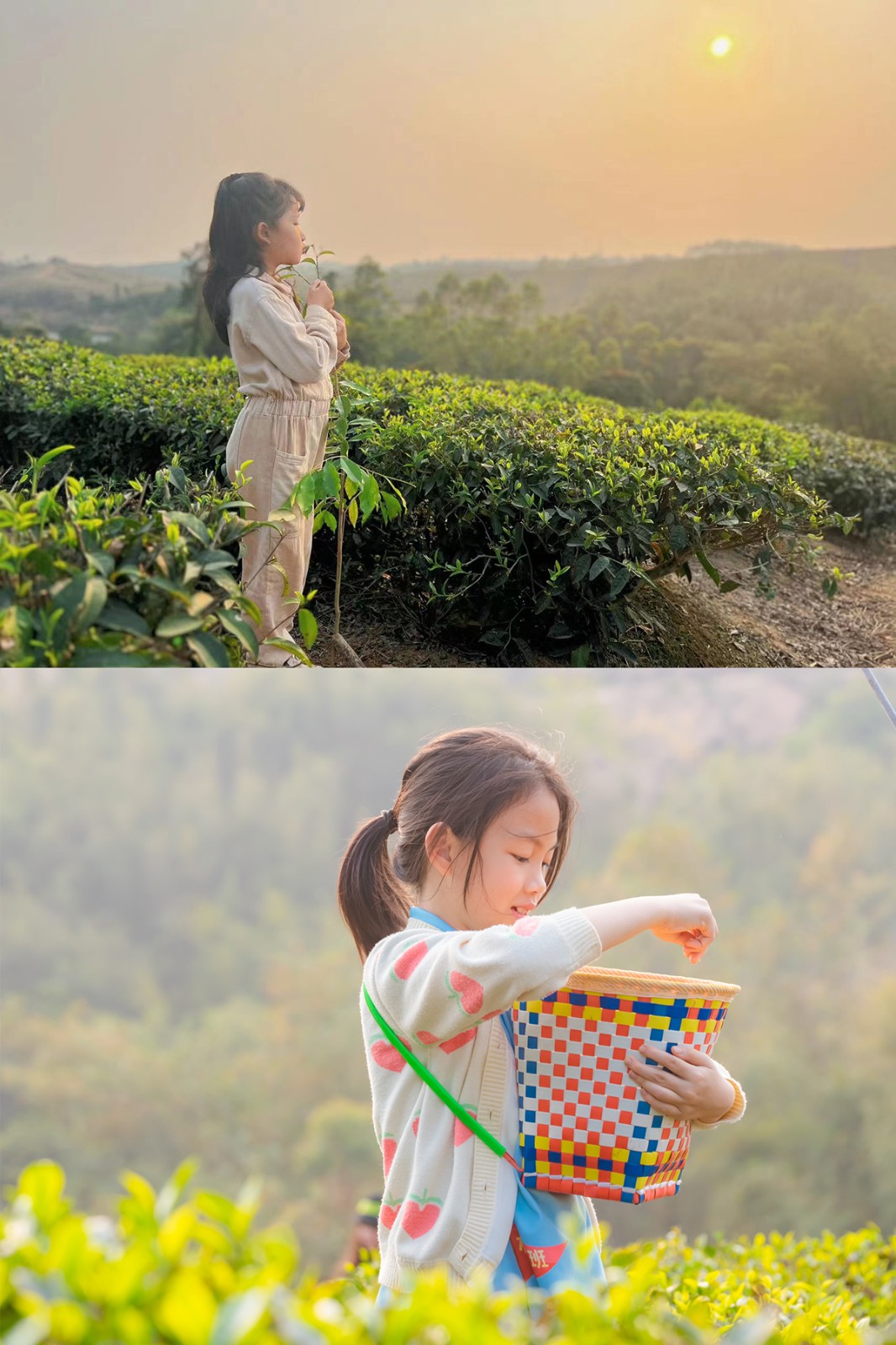 1772607717428474.jpg mmexport1677933225550.jpg