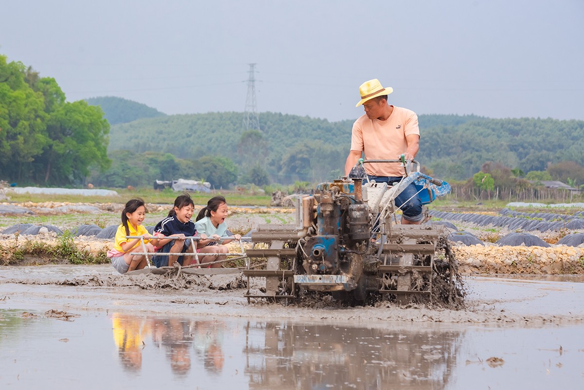 1772607835576526.jpg _DSC2886.jpg