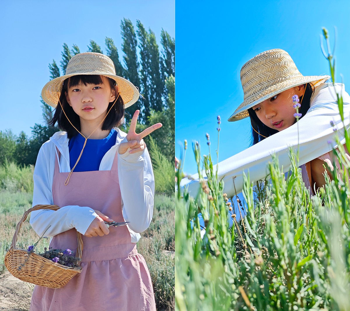 IMG_20250811_113407 拷贝.jpg