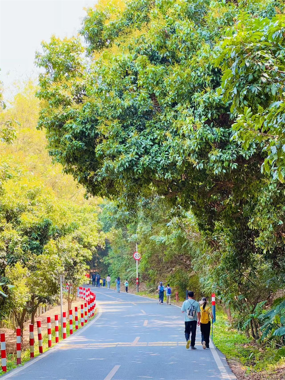 1773889884808163.jpg b3db7be8dd5046c08305f9ba96494fa.jpg