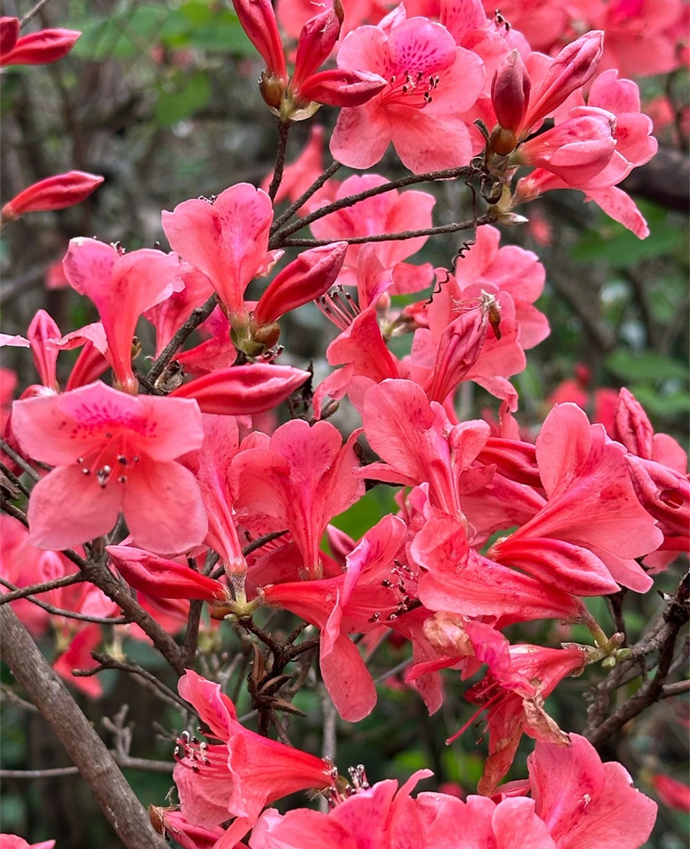 1773997287808180.jpg 微信图片_2026-03-19_112412_256.jpg