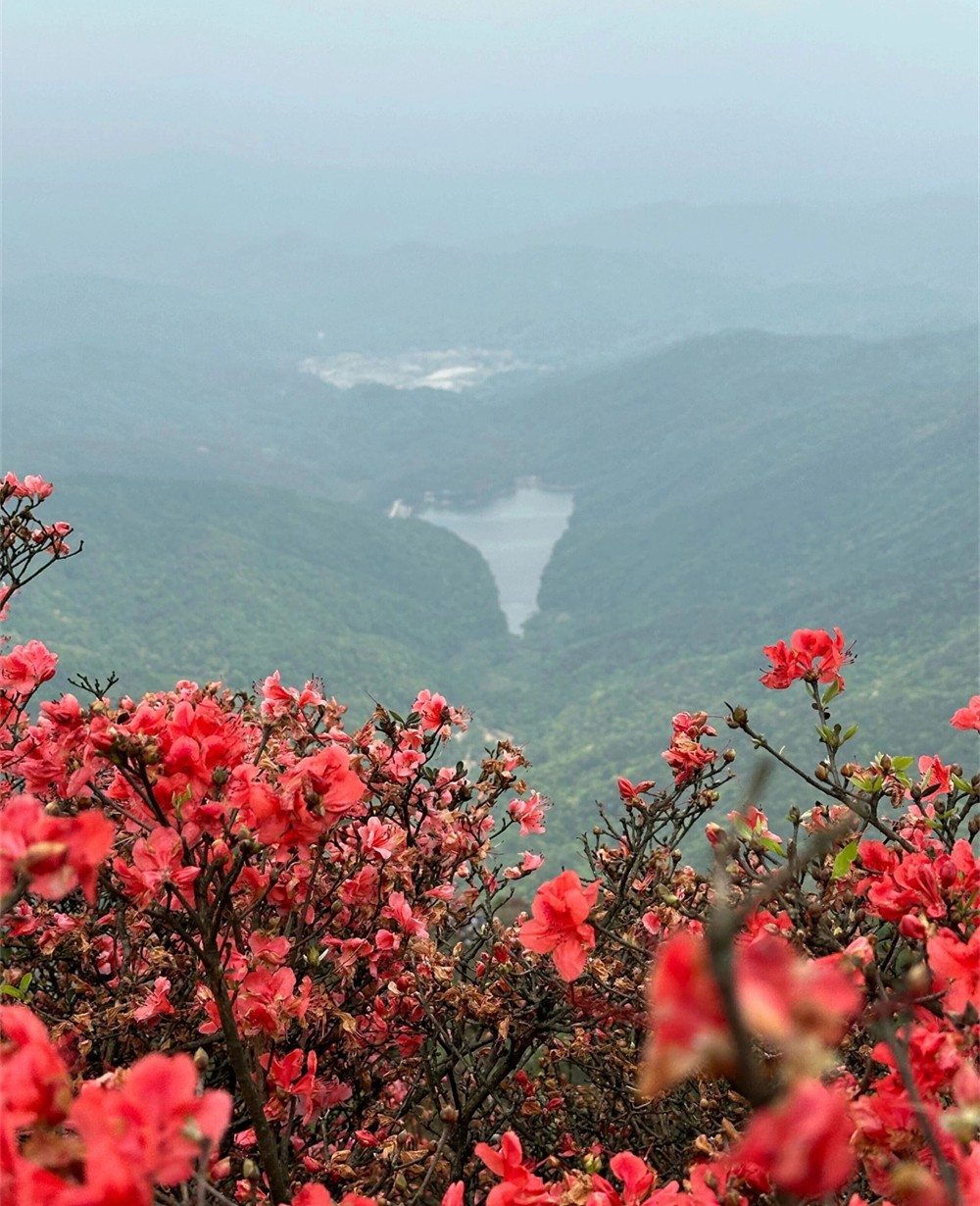 1773997310143348.jpg 微信图片_2026-03-19_112113_272.jpg