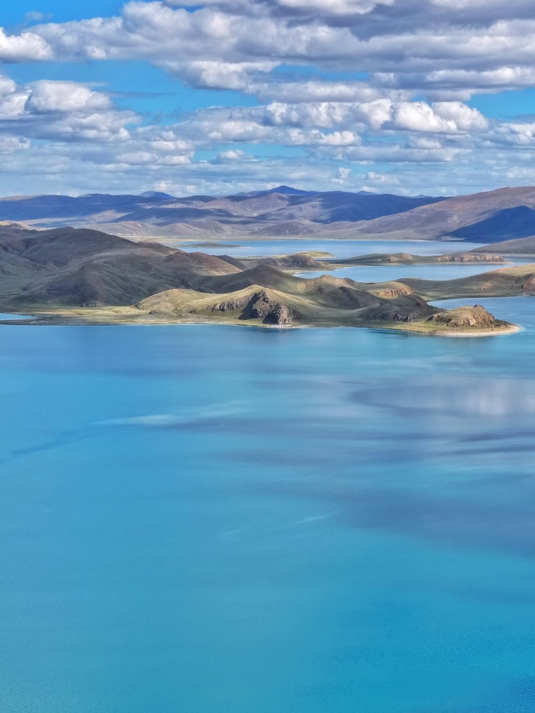 1775227072199253.jpg 23423555.jpg