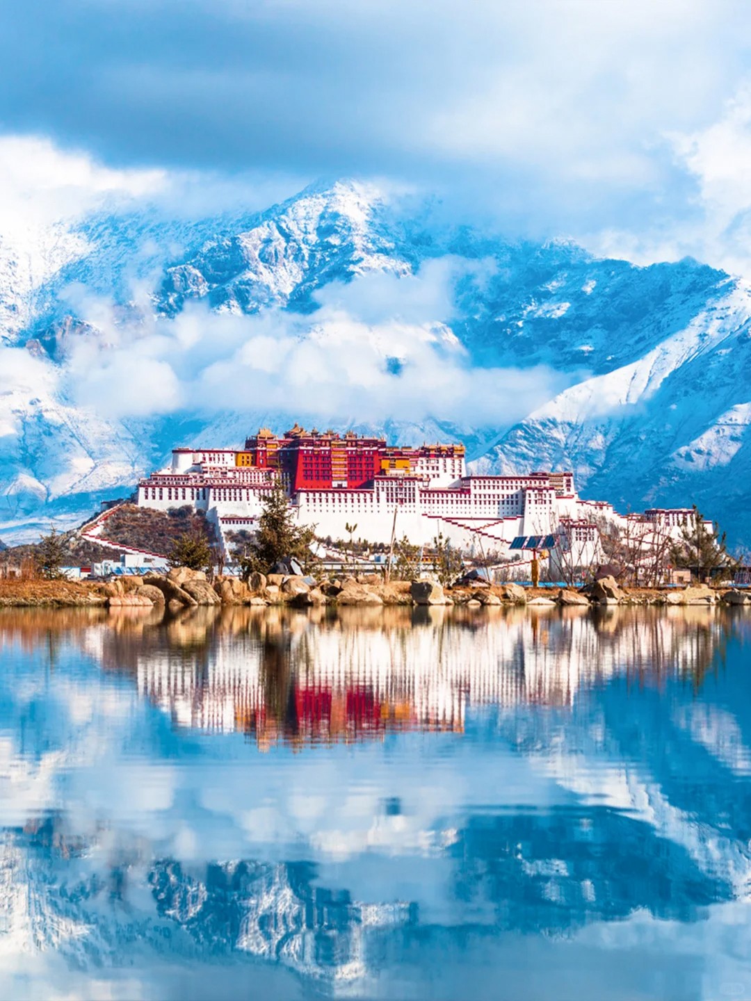 1775283398930095.jpg 4565666.jpg