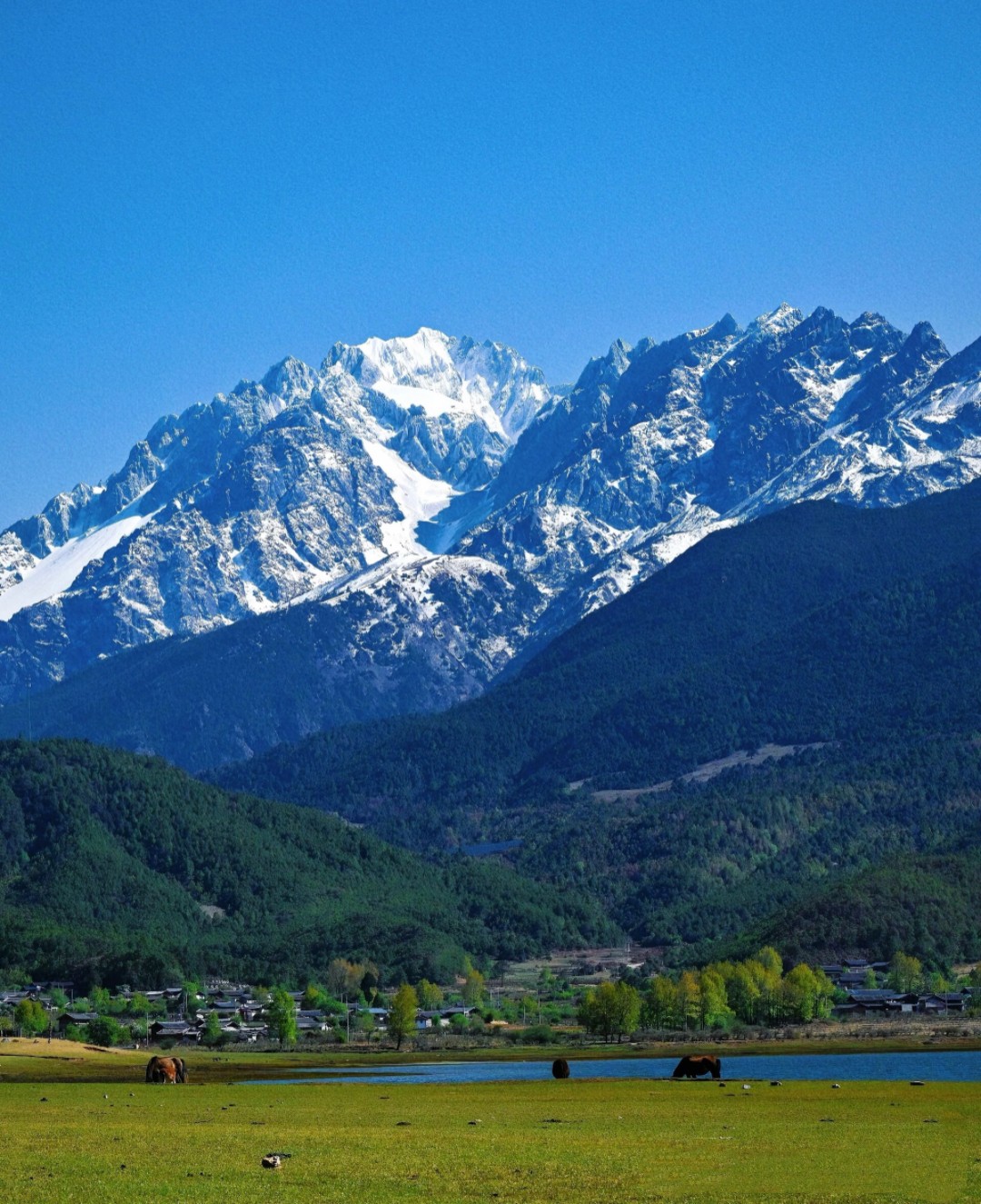 1775544681129855.jpg e4c3320ffca837a8103e948ee261c36.jpg